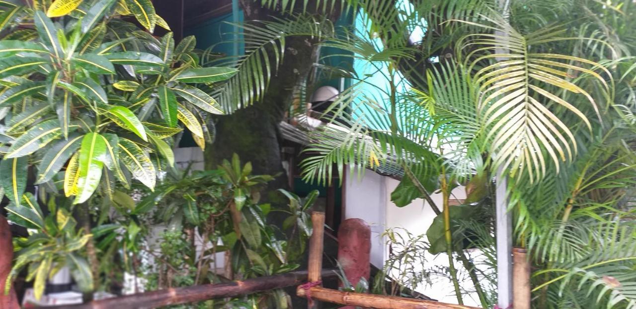 Downtown Montezuma Hostel Exterior photo